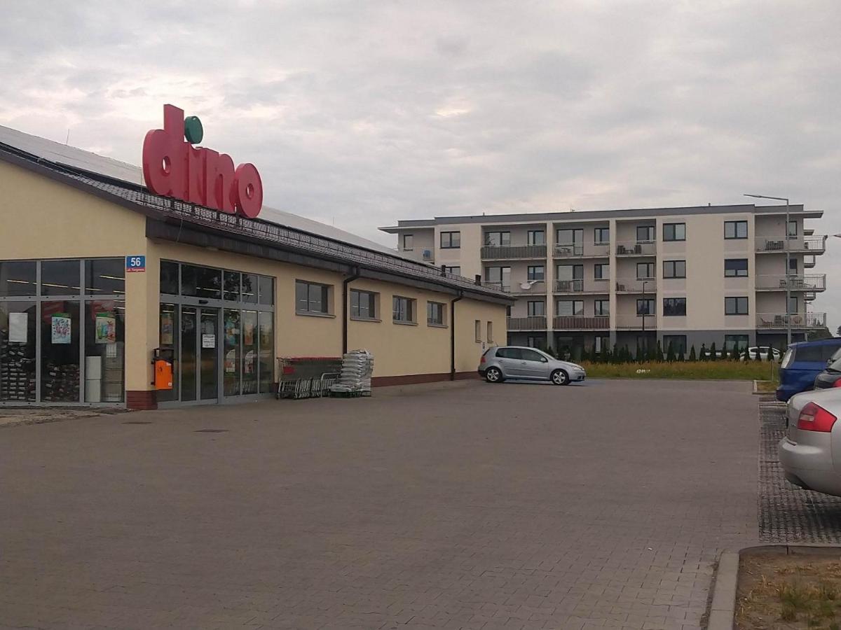 Uniejow Apartament Apartment